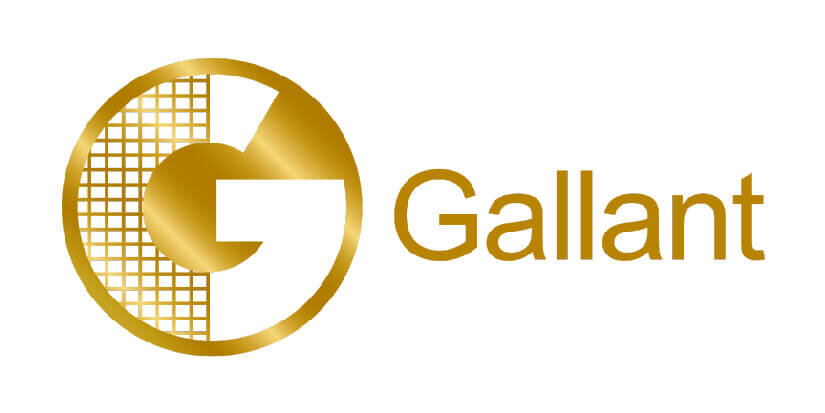 Gallant Computer Company Limited Logo