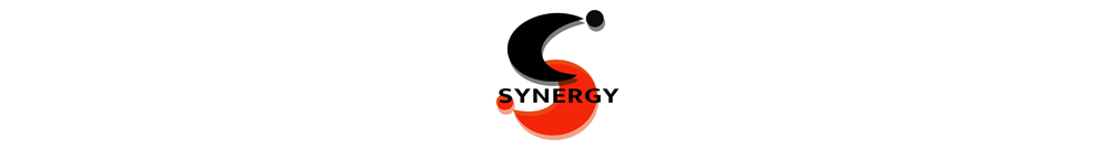 AIA SYNERGY Logo