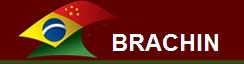 Brachin Logo