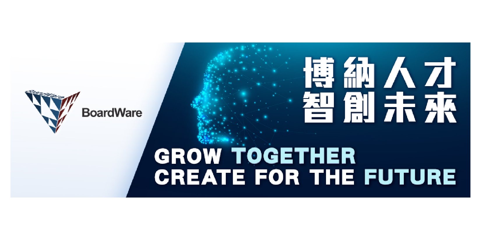 BoardWare Information System Limited Logo