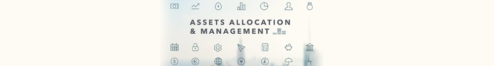 Assets Allocation and Management Logo